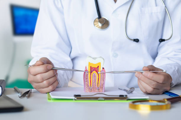 Best Root Canal Emergency Dentist  in Springfield, IL